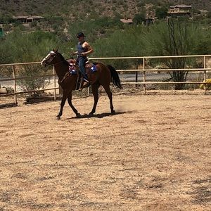 Meet your Posher, Collin